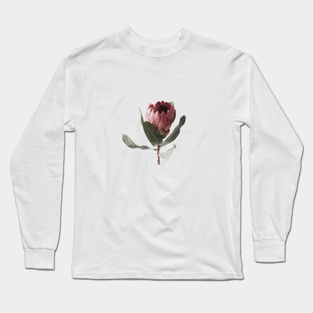 Protea flower Long Sleeve T-Shirt by cait-shaw